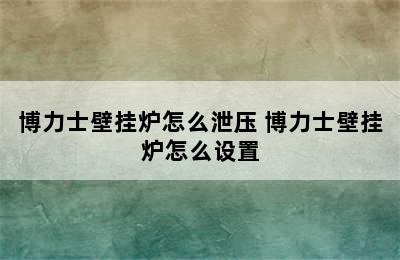 博力士壁挂炉怎么泄压 博力士壁挂炉怎么设置